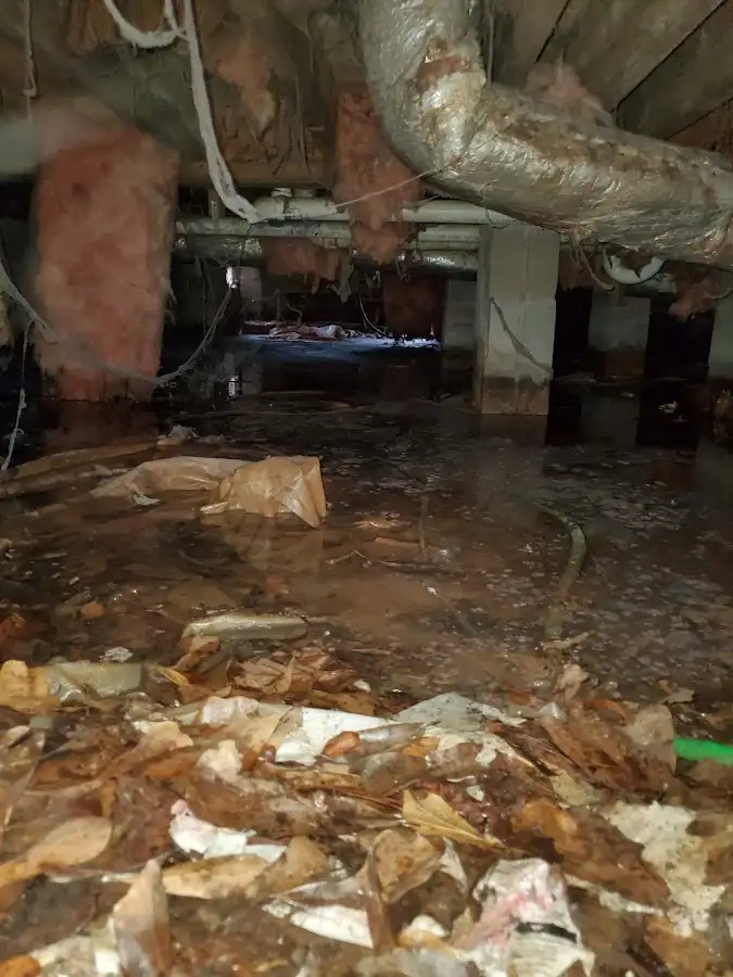 Crawl space flood assessment for Leak Detection & Repair in Fairfax